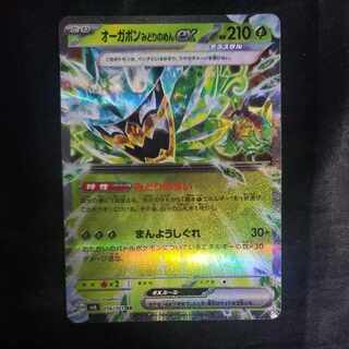 Ogapon Midori-no-men ex RR 016/101