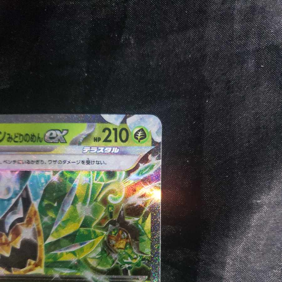 Ogapon Midori-no-men ex RR 016/101