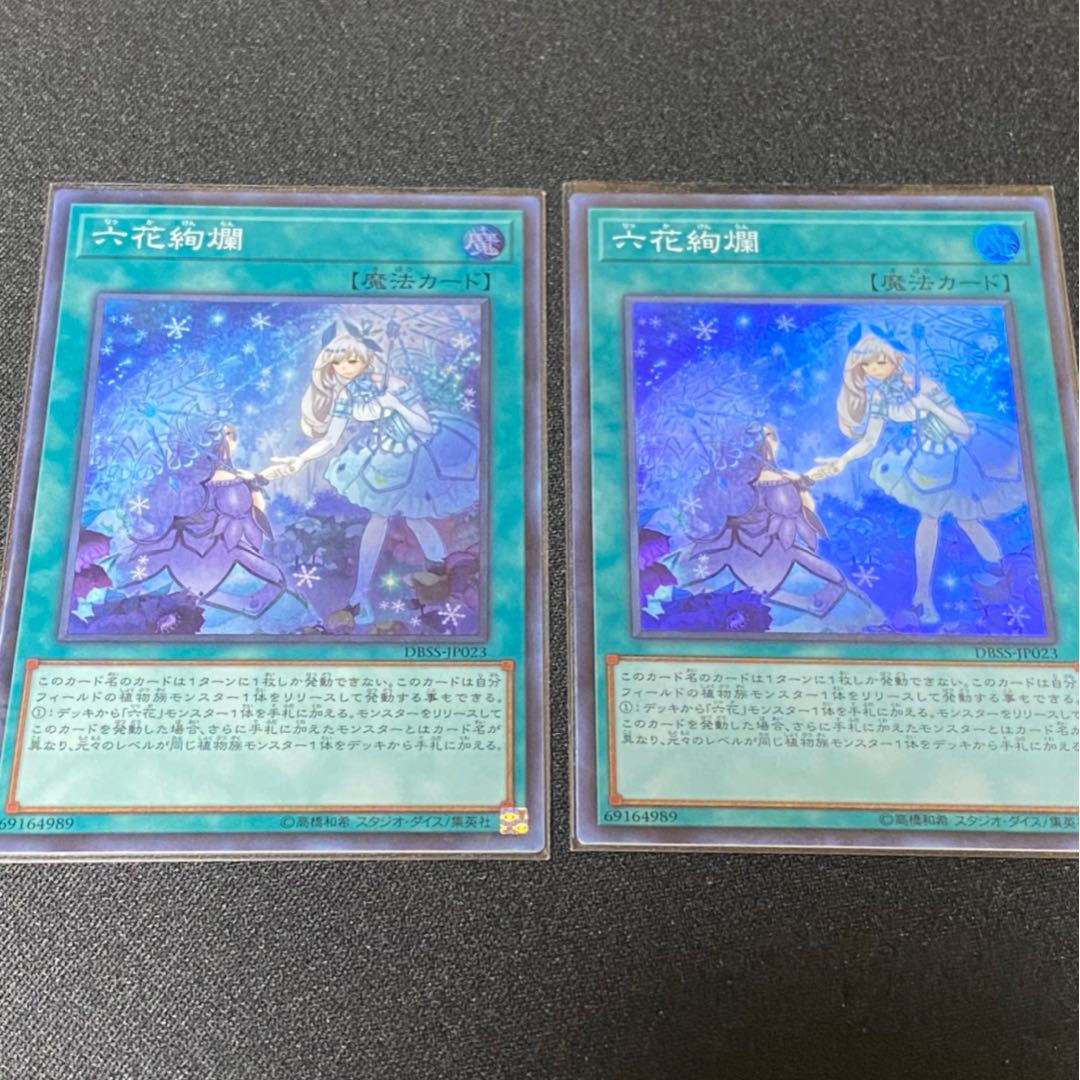 六花絢爛 ２枚セット