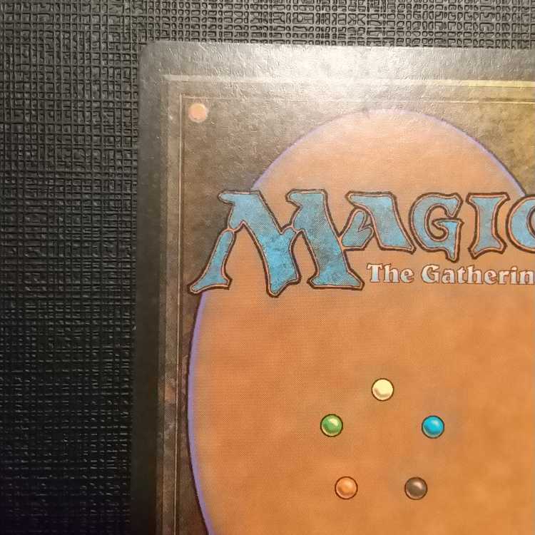 MTG] Black frame tropical island (FBB Italian dual land)