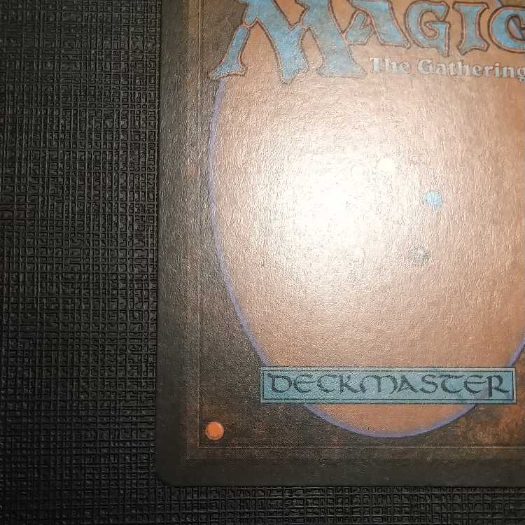 MTG] Black frame tropical island (FBB Italian dual land)