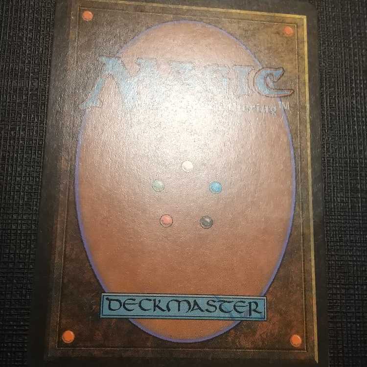 MTG] Black frame tropical island (FBB Italian dual land)