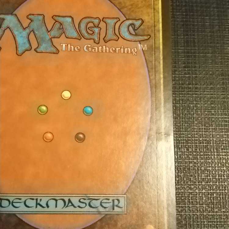 MTG] Black frame tropical island (FBB Italian dual land)