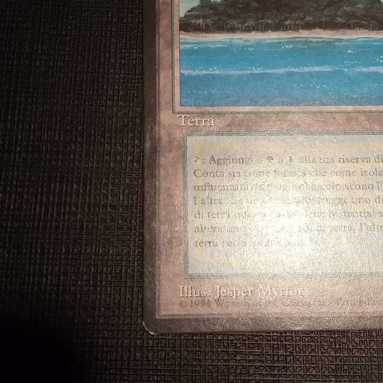 MTG] Black frame tropical island (FBB Italian dual land)