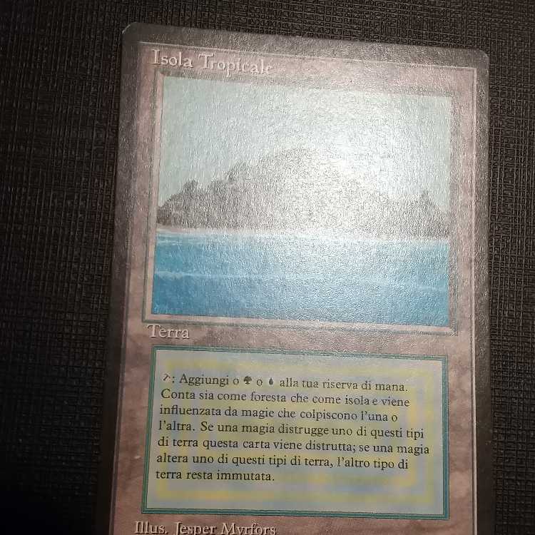 MTG] Black frame tropical island (FBB Italian dual land)