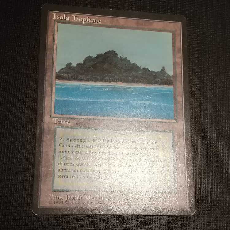 MTG] Black frame tropical island (FBB Italian dual land)