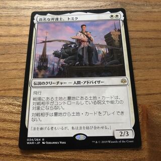 高名な弁護士、トミク レア