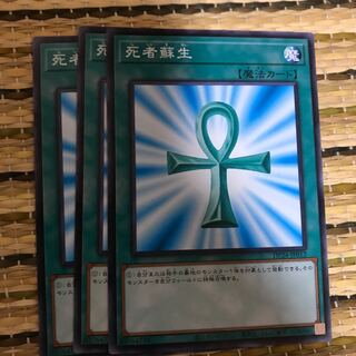 マドレース 死者蘇生 N