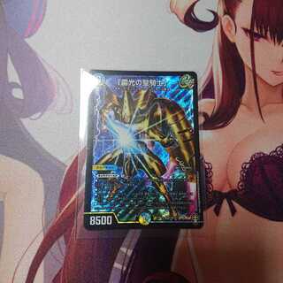 「雷光の聖騎士」と「驚愕の鉄人」