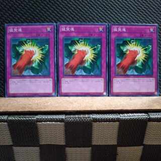 【ぽぽたん】遊戯王  2848  猛突進   ノーマル  3枚