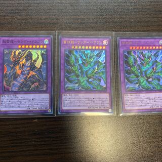 超雷龍-サンダー・ドラゴン＆超神龍サンダードラゴン