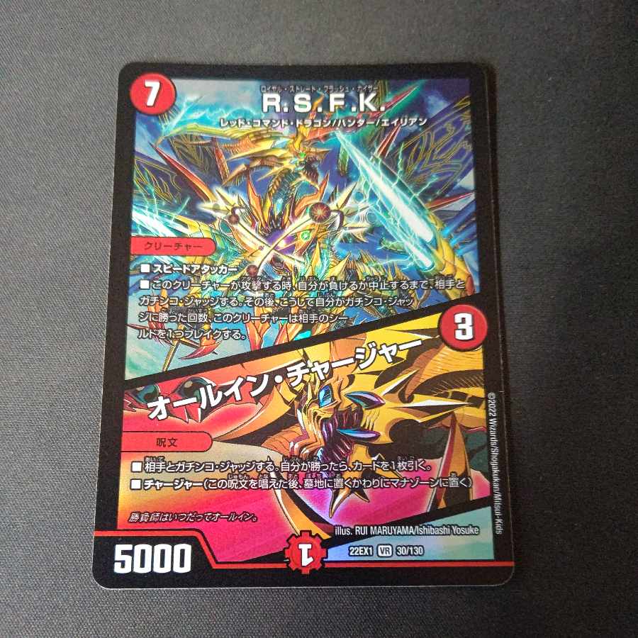 R.S.F.K.|All-in Charger VR 30/130