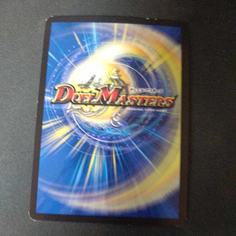 R.S.F.K.|All-in Charger VR 30/130