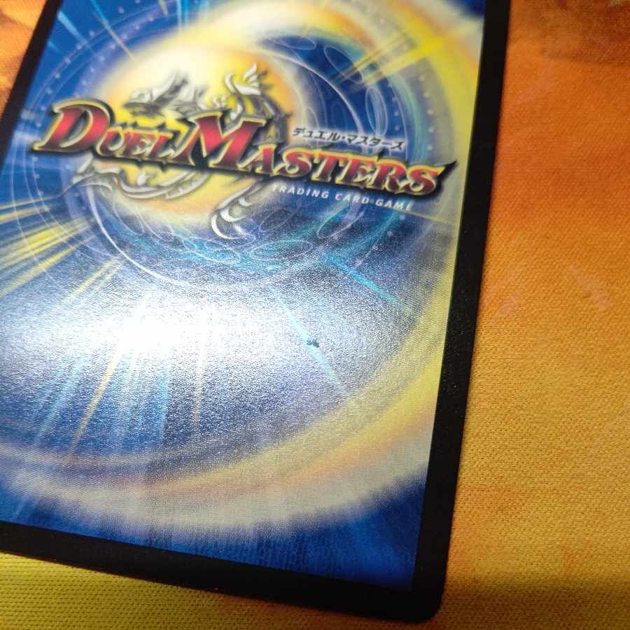 R.S.F.K.|All-in Charger VR 30/130