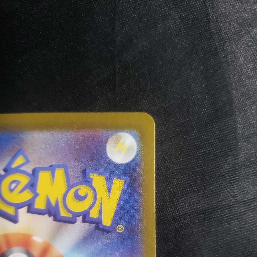 ネジキ HR 123/100