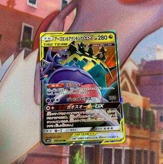 アーゴヨン&アクジキング 専用