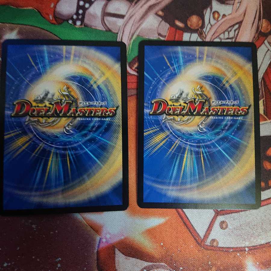 「雷光の聖騎士」2枚セット