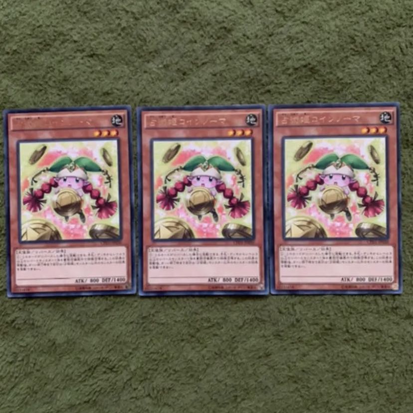 占術姫コインノーマ R 3枚