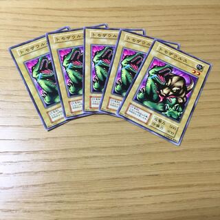 Tomozaurus 5-piece set