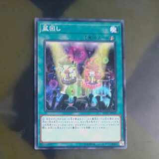 Set Rotation Normal JP030