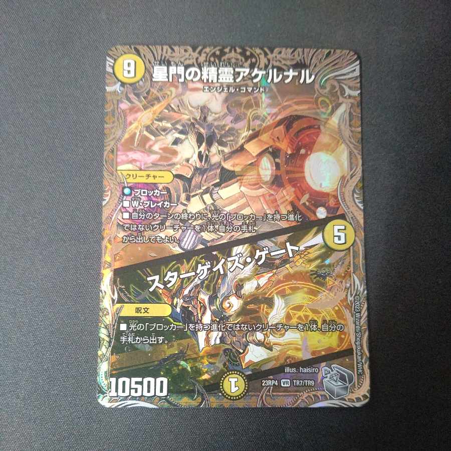 Akernal, the Spirit of Stargaze Gate｜Stargaze Gate (Silver Treasure) VR TR7/TR9