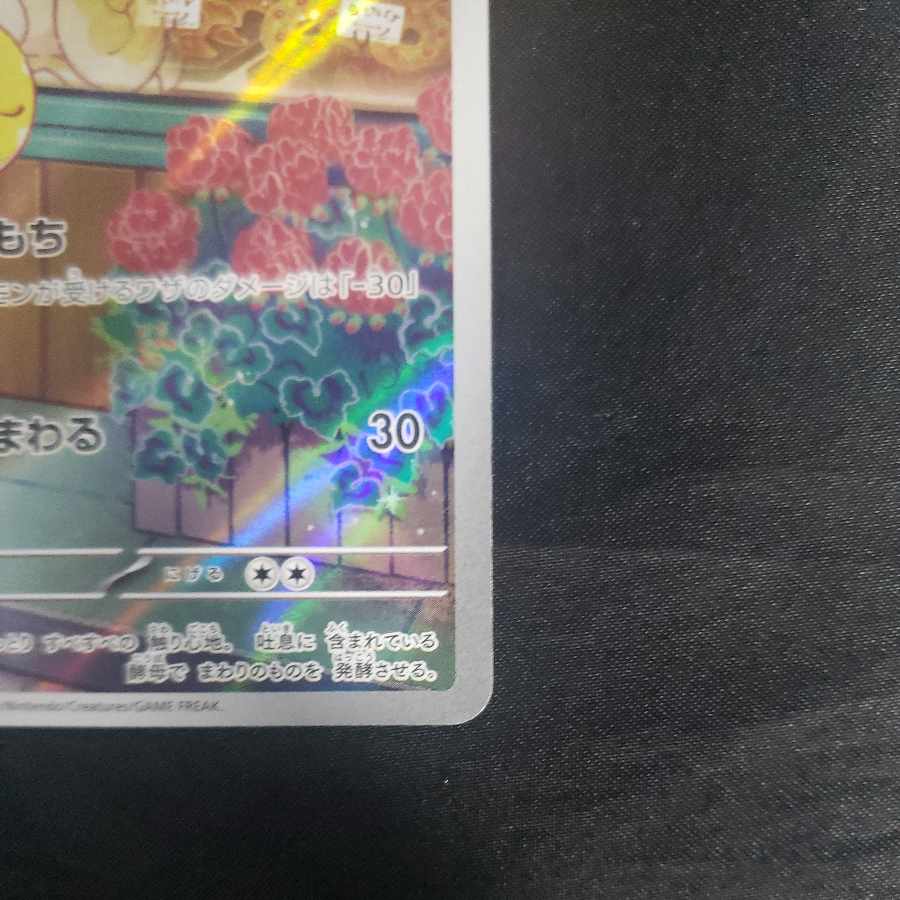 パピモッチ AR 085/078