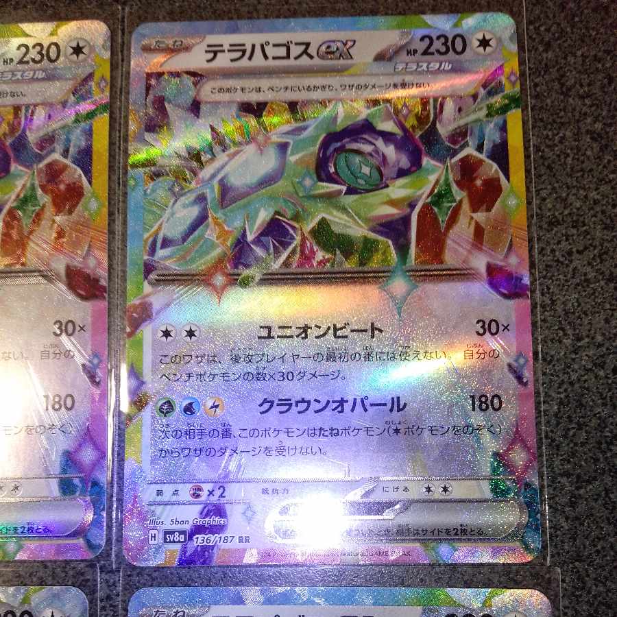 Terrapagos ex RR 136/187