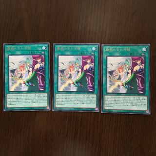 魅惑の合わせ鏡 R 3枚セット