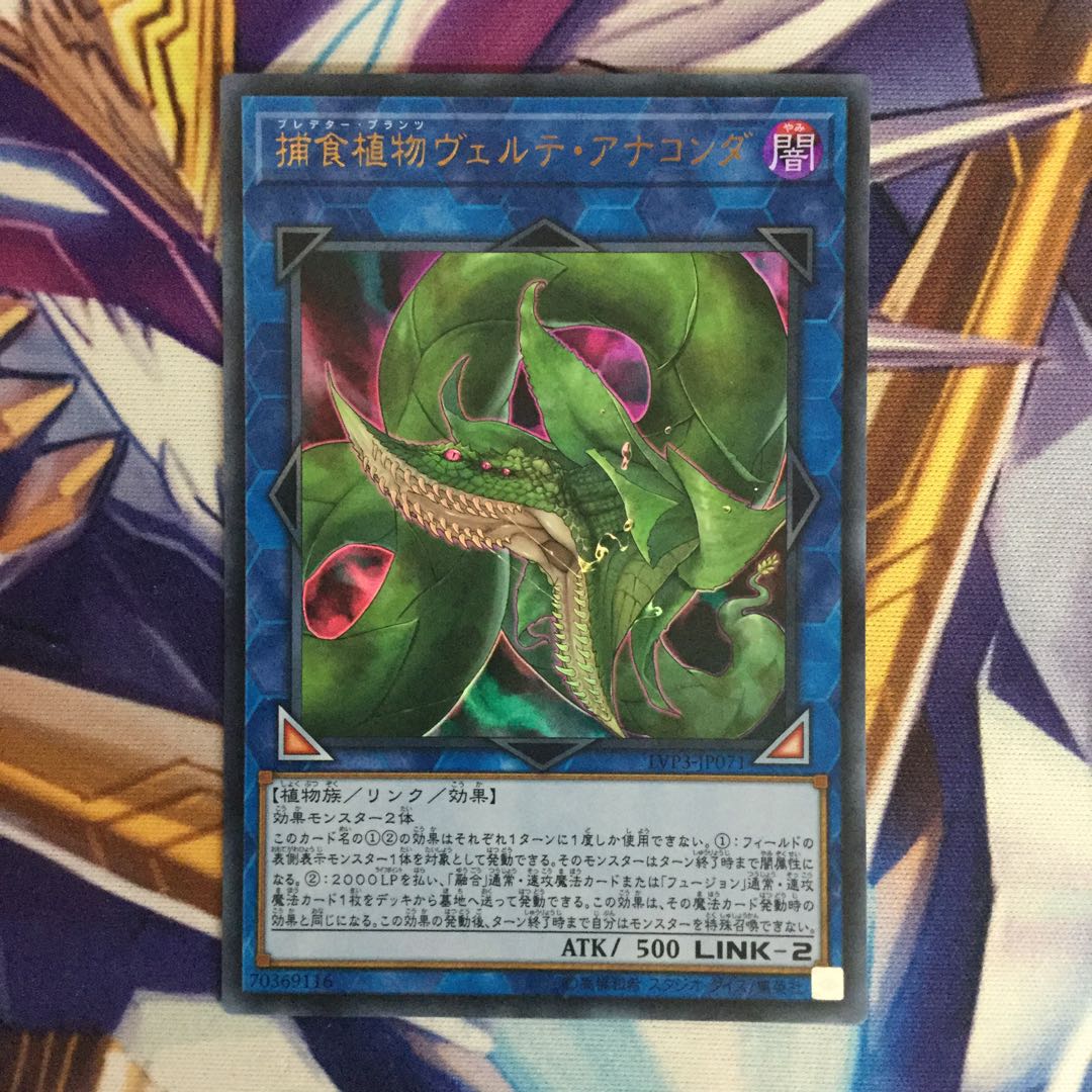 捕食植物ヴェルテ・アナコンダ　ウルトラレア【06064-37】