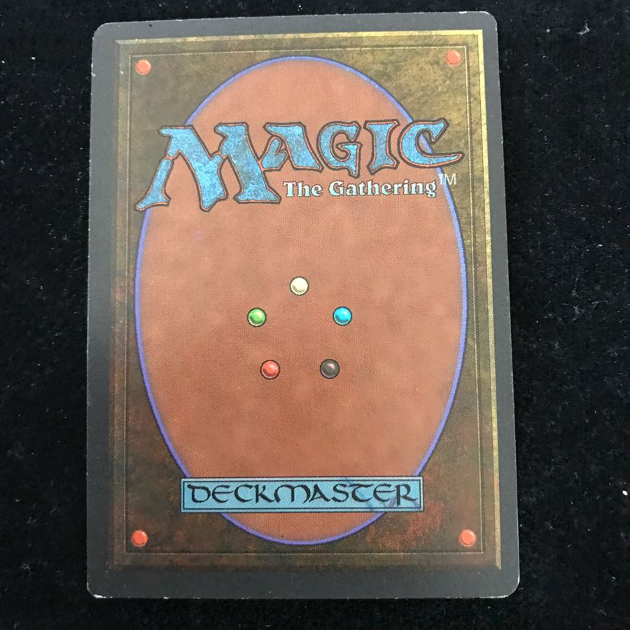 【こつ太様専用】Tundra 3ED 英 (管理番号002)