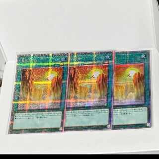 竜の渓谷 QCSE・25thシク QCCP-JP193