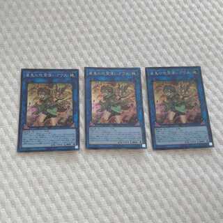 崔嵬の地霊使いアウス