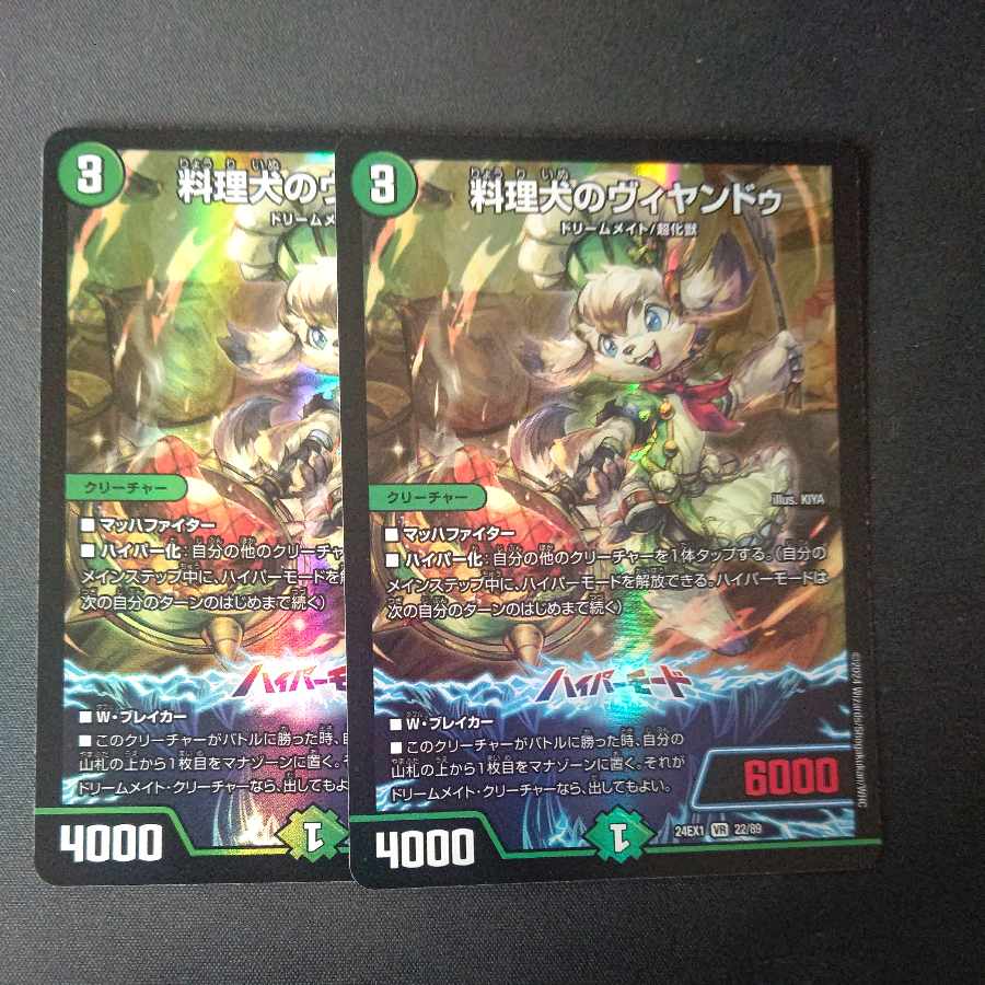 Cooking Dog Vyandu VR 22/89 Set of 2