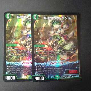 Cooking Dog Vyandu VR 22/89 Set of 2