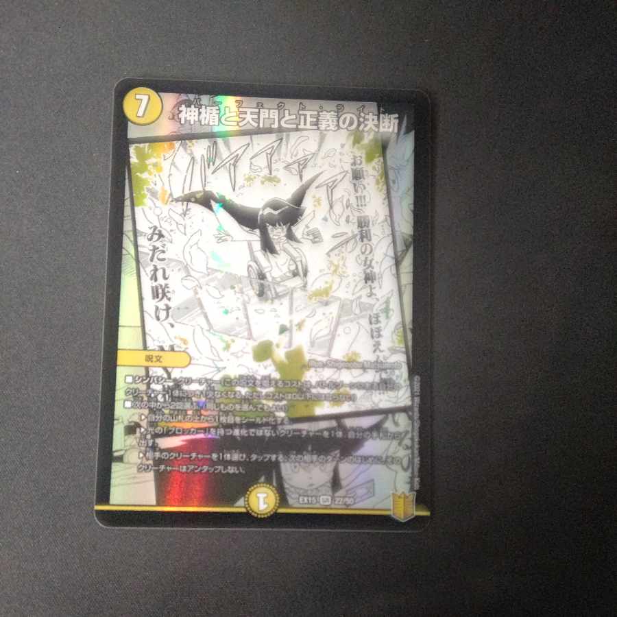 The Divine Plaque, the Heavenly Gate, and the Decision of Justice SR 22/50