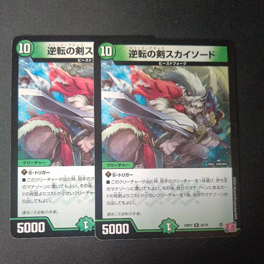 Reversed Sword Sky Sword R 25/76 Set of 2