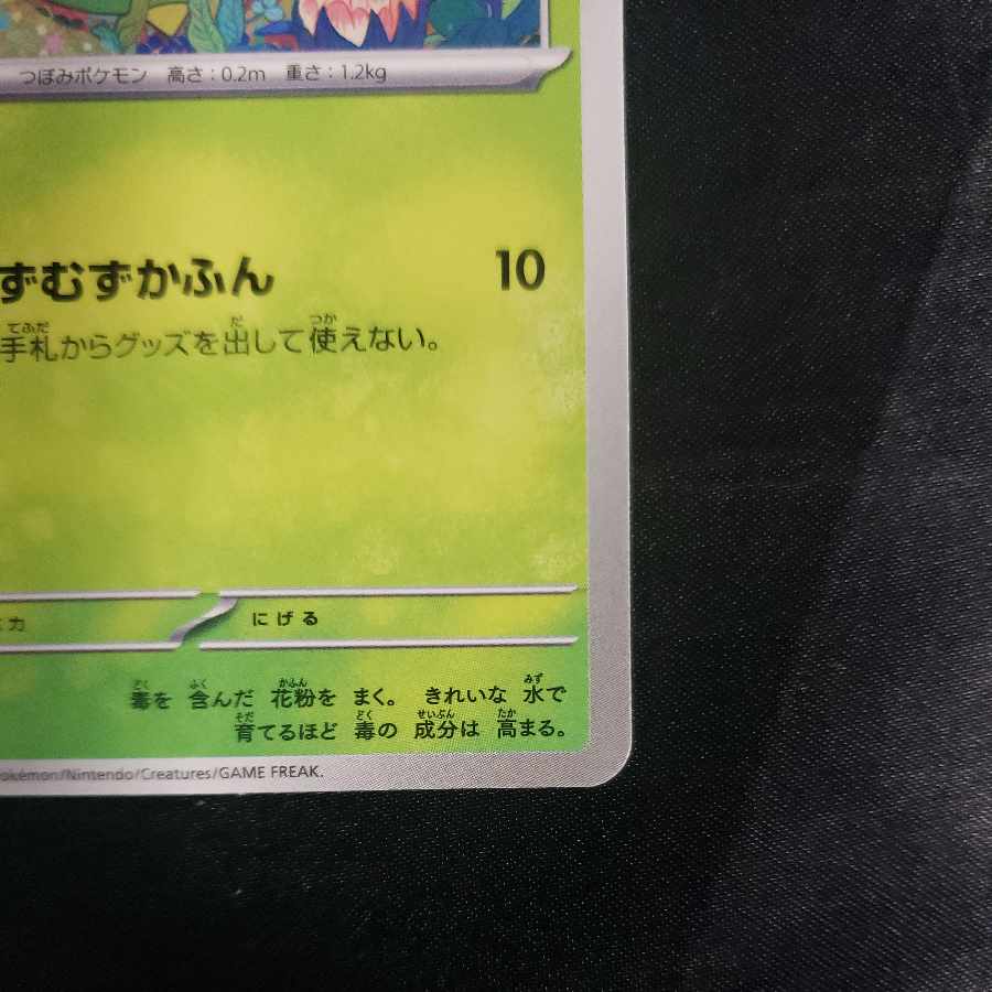Budew 001/187