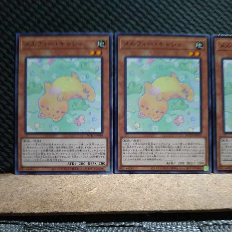 Popotan] Yu-Gi-Oh! 1626 Melffy Catty Normal 3 copies