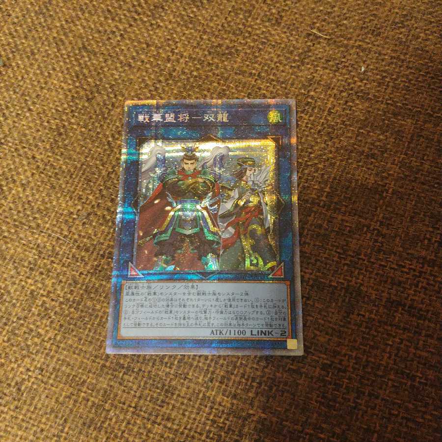 戦華盟将-双龍 PSE