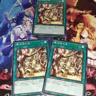 魔法族の里　セット