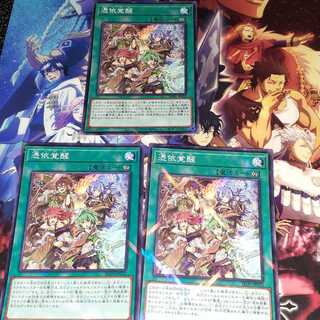 憑依覚醒　パラレルセット