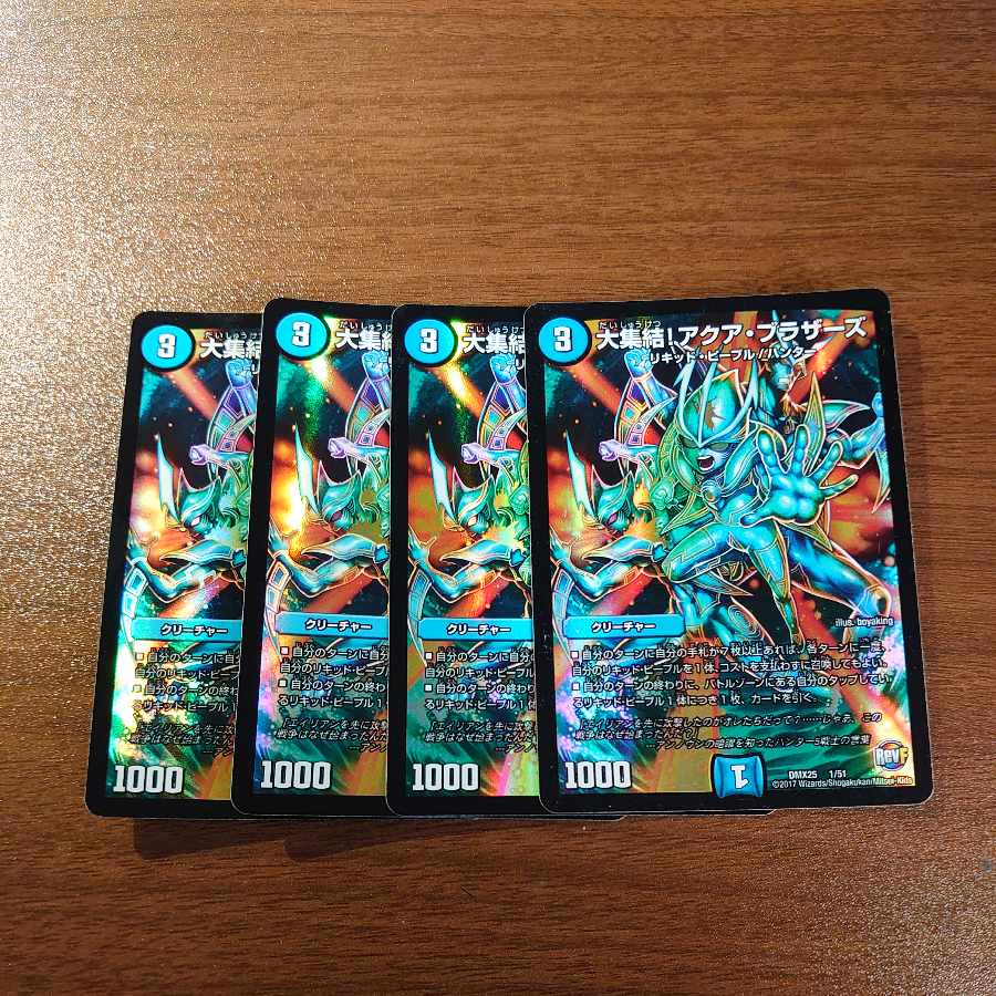 The Big Gathering! Aqua Brothers 1/51