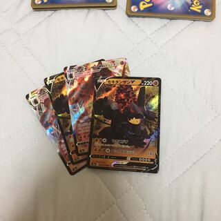 セキタンザンV  じろうさま専用