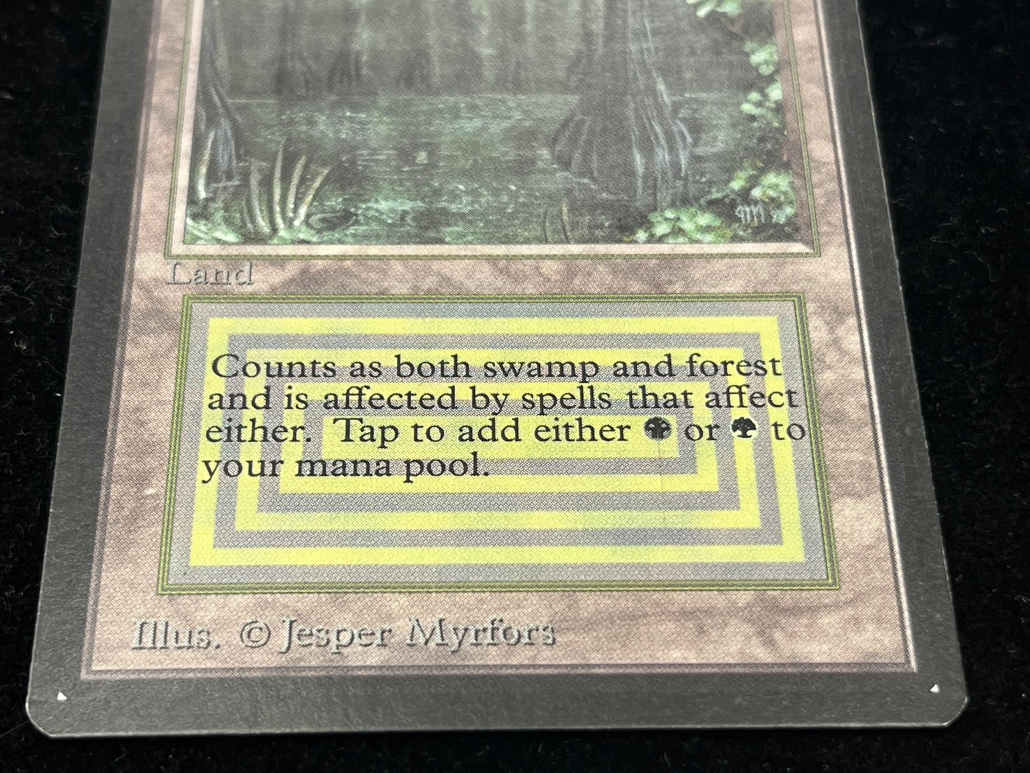 EX+]Bayou《英語》【LEB】#275の通販 カードラッシュ magi店 