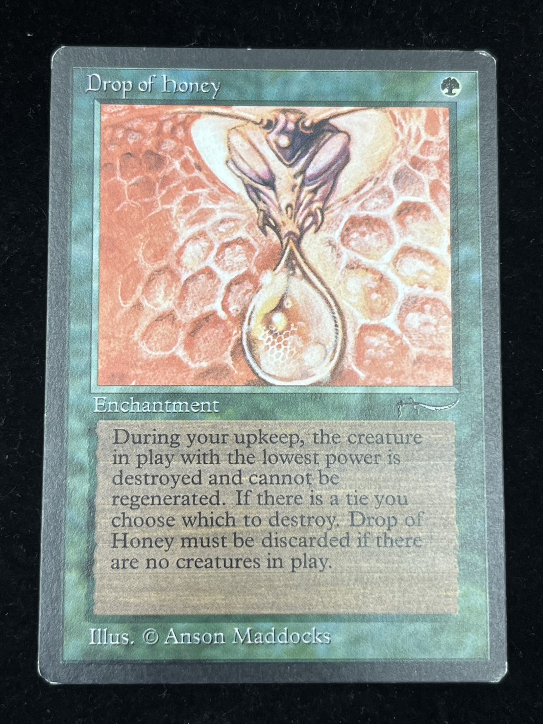 [EX]Drop of Honey《English》 [ARN]#274