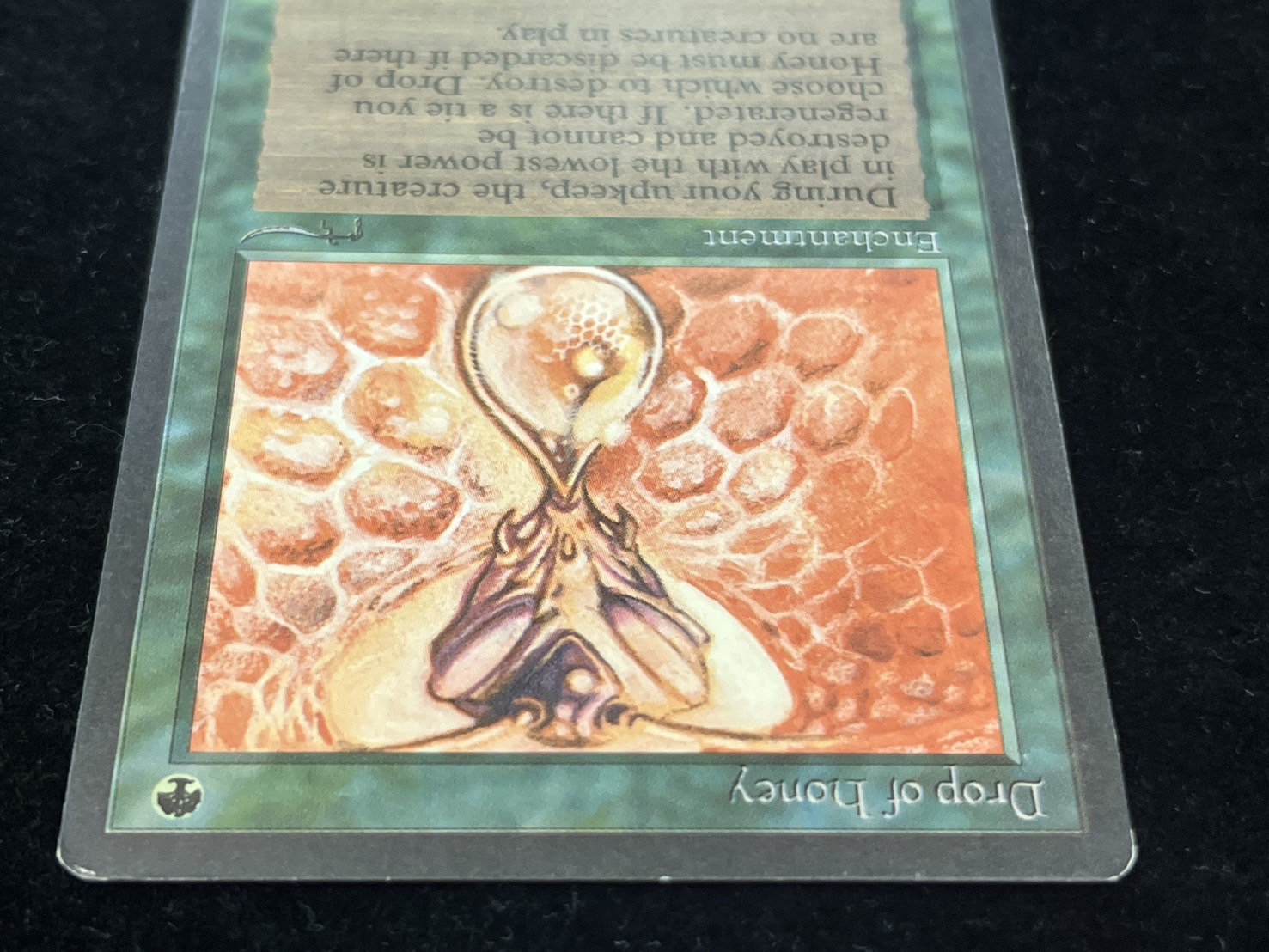 [EX]Drop of Honey《English》 [ARN]#274