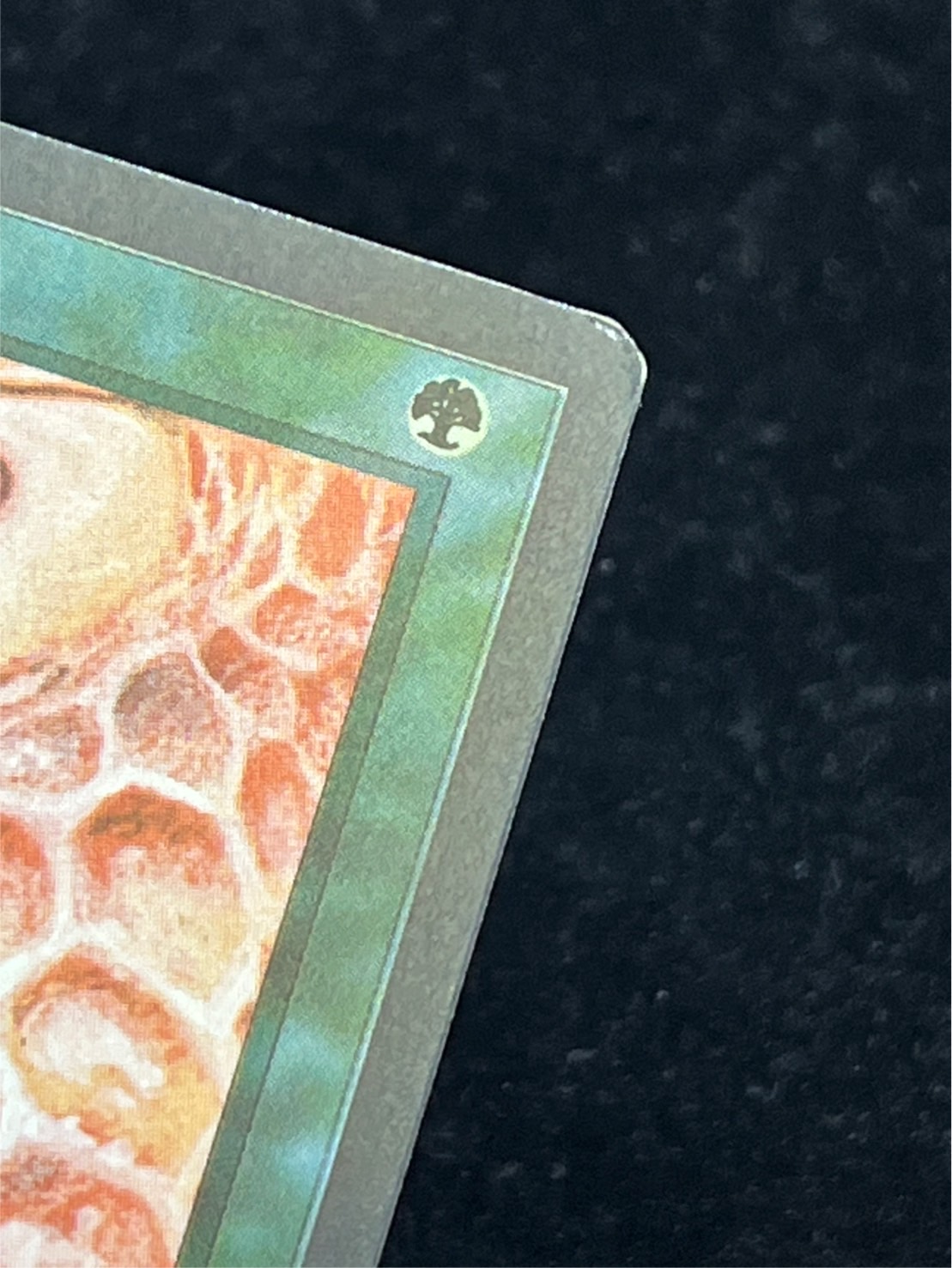 [EX]Drop of Honey《English》 [ARN]#274