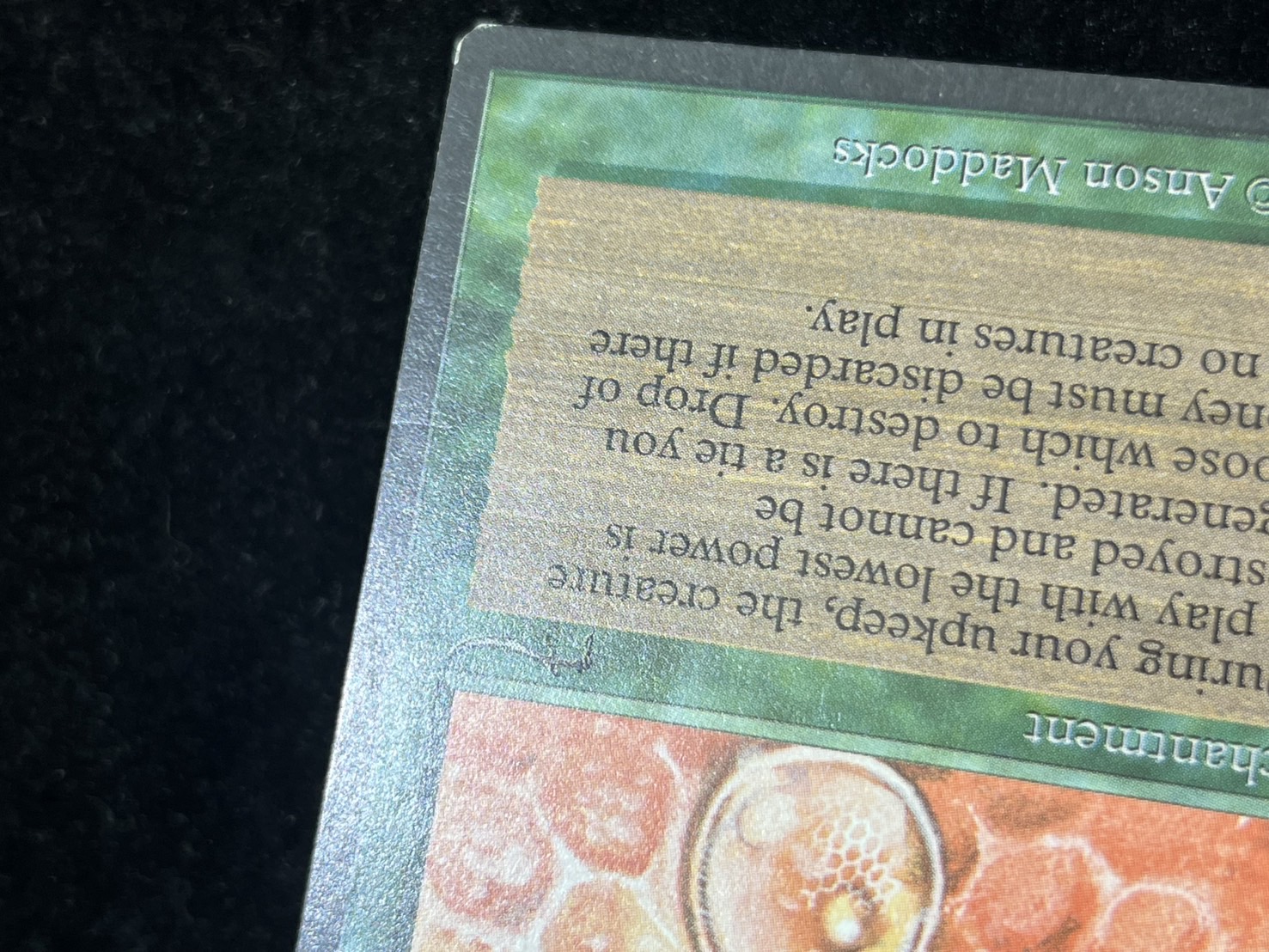 [EX]Drop of Honey《English》 [ARN]#274