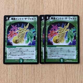 爆進イントゥ・ザ・ワイルド 3枚