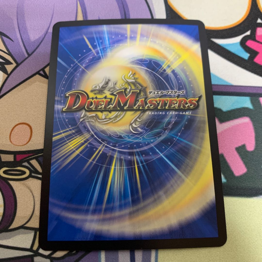 「絶対の楯騎士」